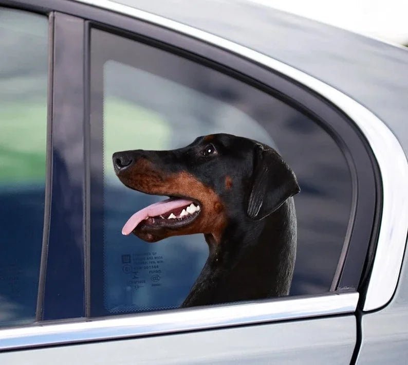 15cm Chocolate Labrador Window Sticker, Chocolate Lab Car Decal, Labrador Decal - shift - knoobs