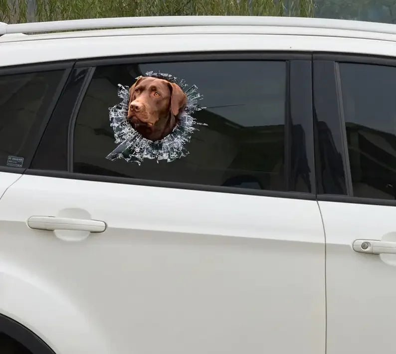 15cm Chocolate Labrador Window Sticker, Chocolate Lab Car Decal, Labrador Decal - shift - knoobs