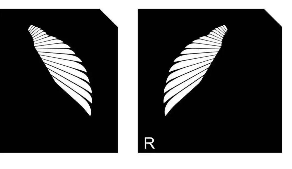 Car Dynamic Rearview Mirror Carpet Light Angel Wings Projection lamp For Mercedes benz W177 W247 W205 W222 GLA GLB GLC GLS EQC