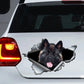 15cm Chocolate Labrador Window Sticker, Chocolate Lab Car Decal, Labrador Decal - shift - knoobs