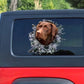15cm Chocolate Labrador Window Sticker, Chocolate Lab Car Decal, Labrador Decal - shift - knoobs